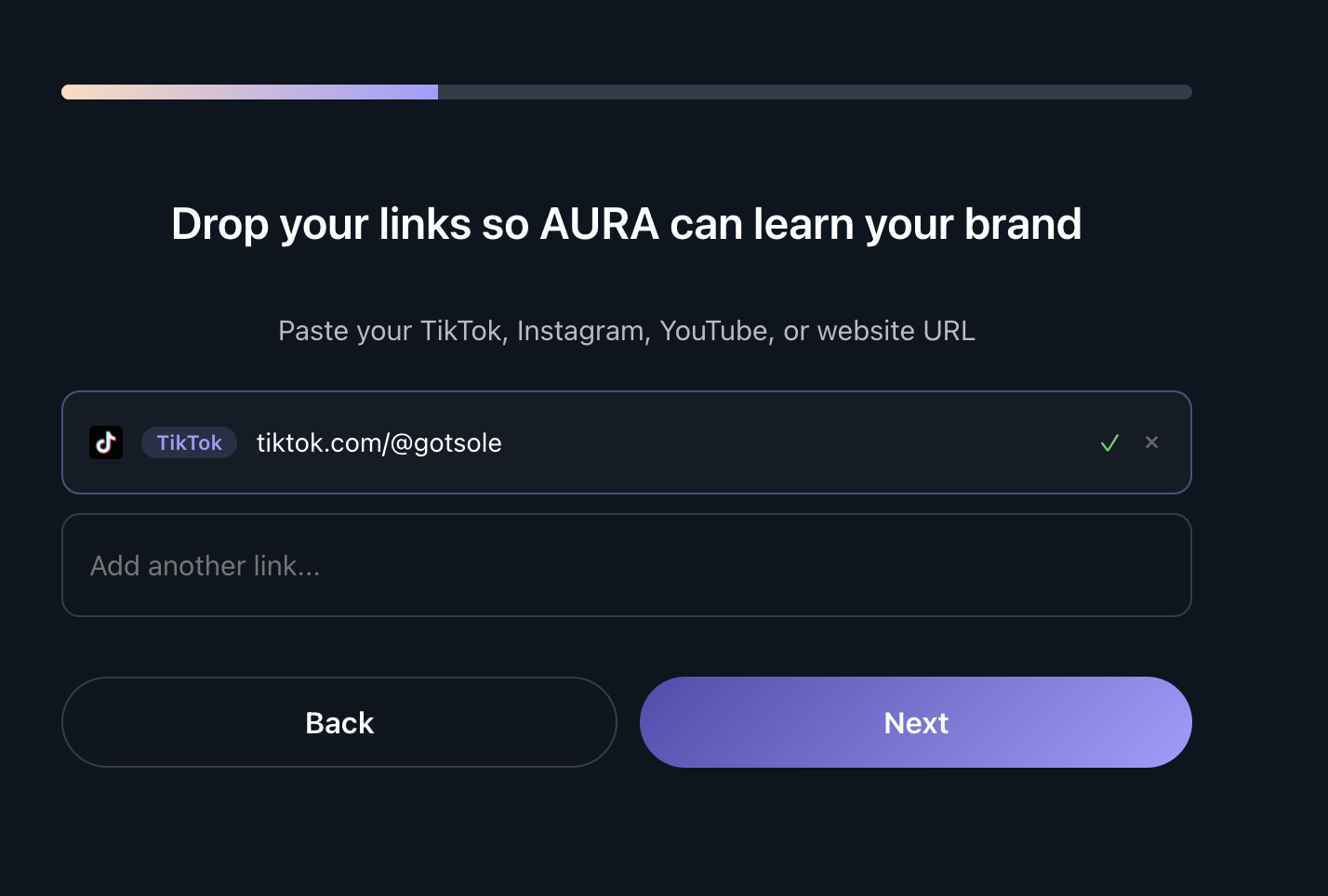 Paste your TikTok profile